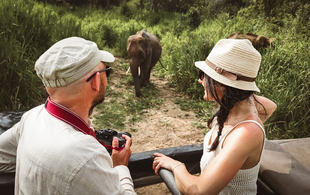 Wildlife tours