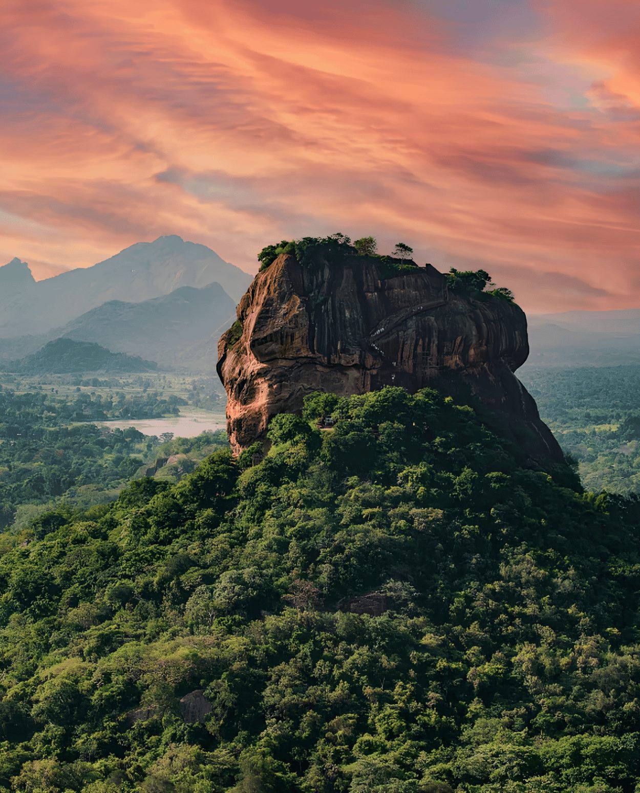 Wildlife, Culture & Nature